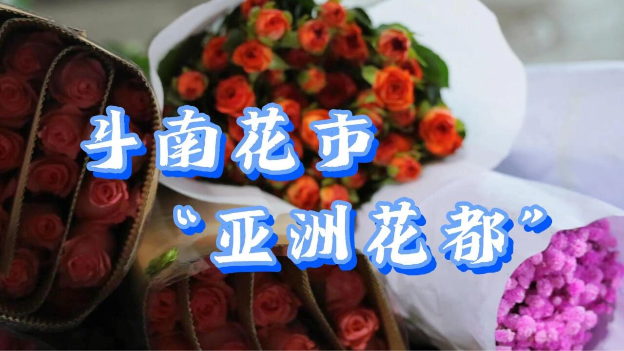 斗南花市 “亚洲花都”