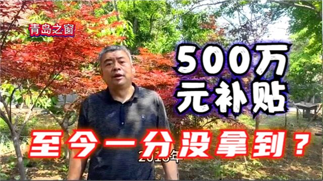 平度万亩林3000万元的补贴,他500万元的补贴一分也没拿到?