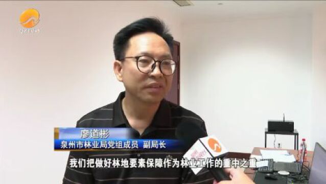 泉州市林业局轮值接听“12345企业服务专线”