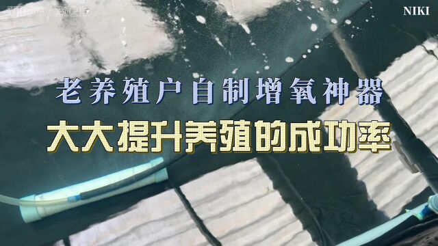 厉害了!一位老养殖户自制增氧利器,大大提升养殖的成功率!