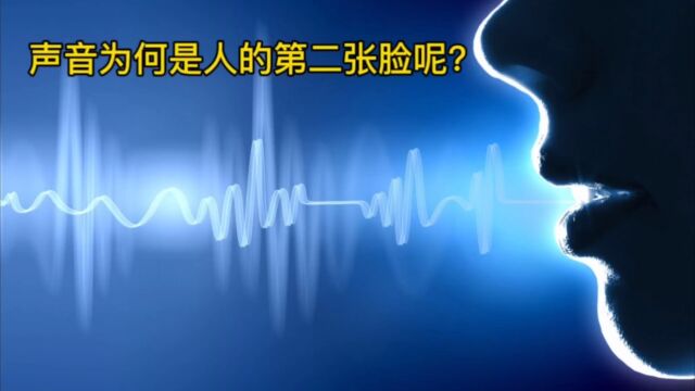 声音为何是人的第二张脸#高音炮#低音炮#中音炮#变声器#鼻腔#胸腔#口腔#喉腔#咽腔#余音绕梁#磁性#耳目一新#大跌眼镜#用进废退