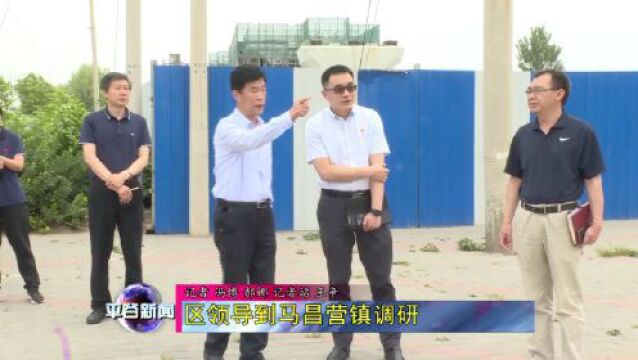 区人大常委会副主任付湘生到马昌营镇调研