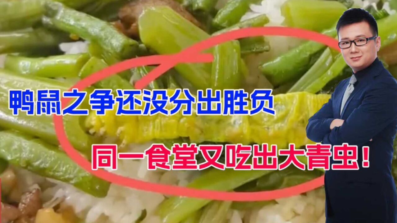 鼠头鸭脖还没结果,同一食堂又被曝吃出大青虫,要查清真这么难?