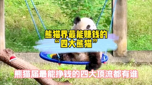 熊猫界四大最能赚钱的熊猫!