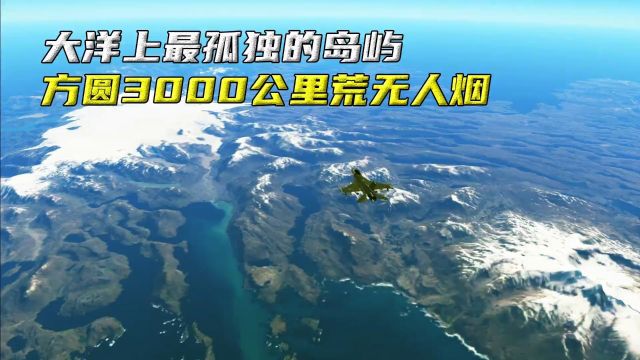 大洋上最孤独的岛屿,方圆3000公里荒无人烟,岛上仅有100个居民#知识前沿派对 #凯尔盖朗岛 #地理