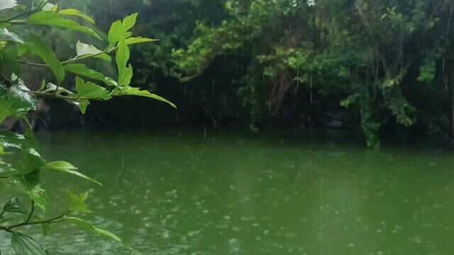 听雨 是种宣泄 看雨 是种解压