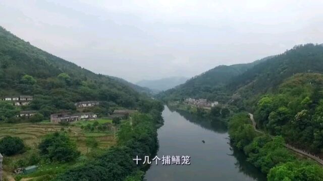 老广的味道:在河里捕捞上来黄鳝,放入瓦煲炖煮,香气四溢