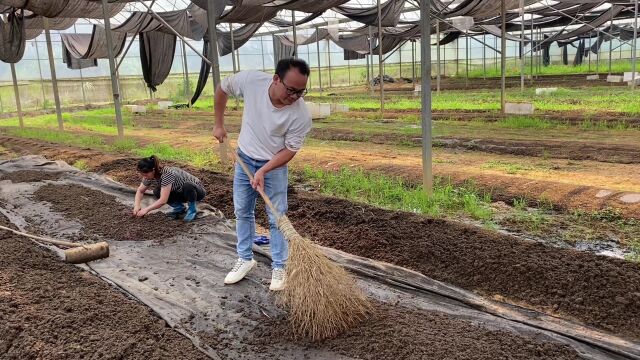 周期短、出货快,月月有收入的农村养殖项目,早看早赚钱