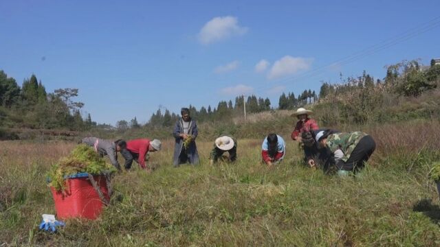 毕节:聚焦群众诉求 推动主题教育走深走实