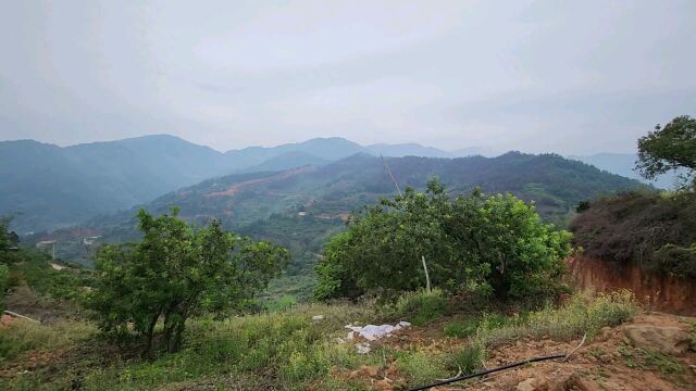 福建宁德这个地方的风景实在太好了,来脉明堂都是上佳的,详细给大家分析.