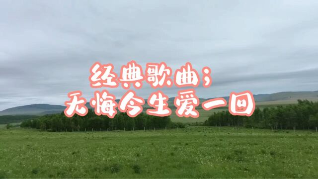 经典歌曲;无悔今生爱一回