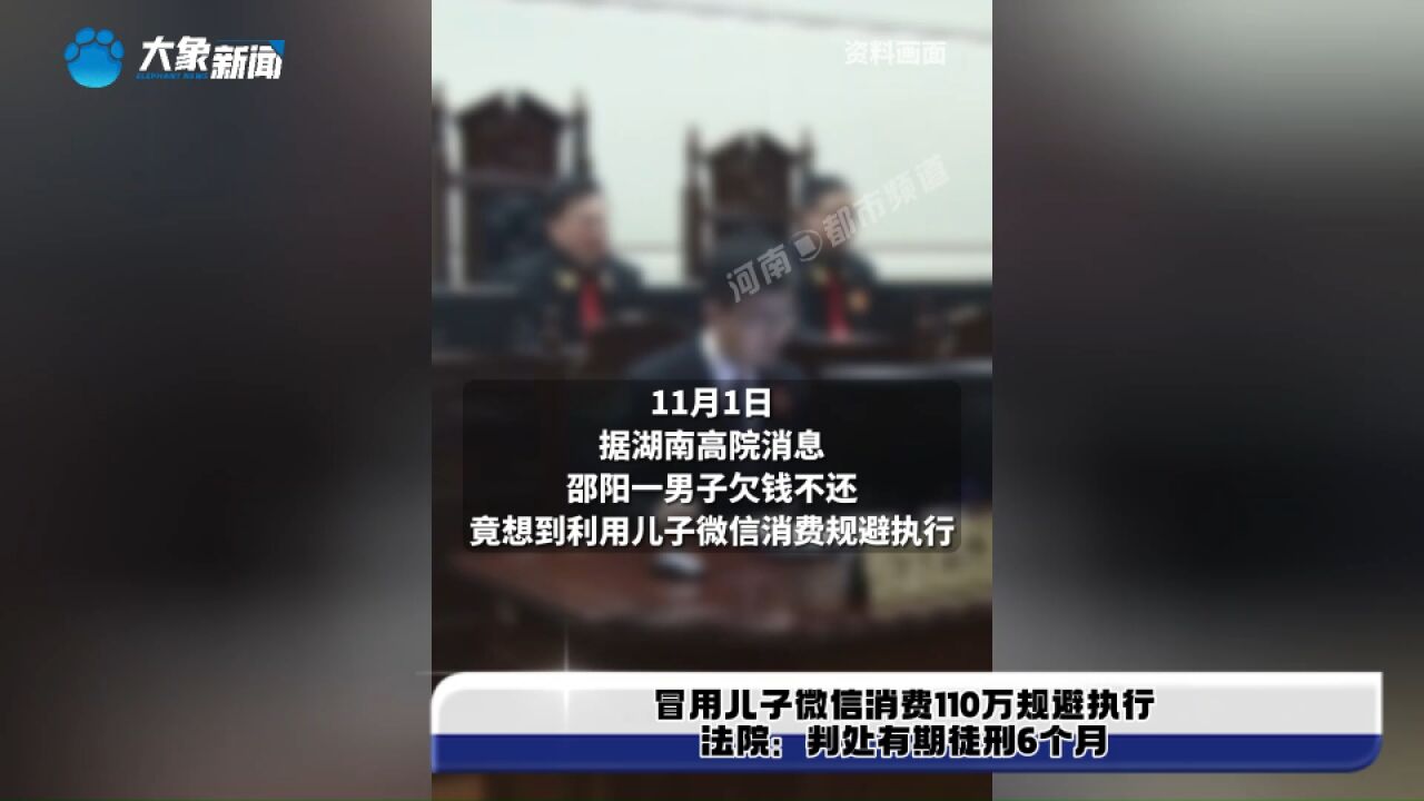 冒用儿子微信消费110万规避执行,法院:判处有期徒刑6个月