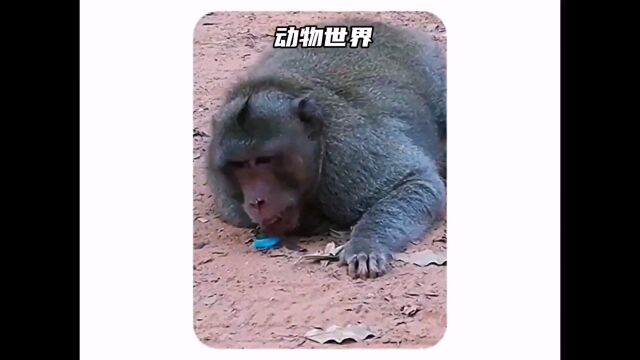 人生百态.