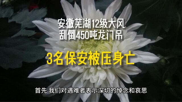 安徽芜湖12级大风刮倒450吨龙门吊,3名保安被压身亡