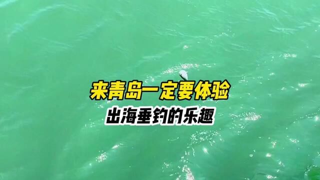 不是一直有人问怎么在青岛体验出海钓鱼吗?这条攻略要收好.#青岛旅游攻略 #青岛 #游艇出海