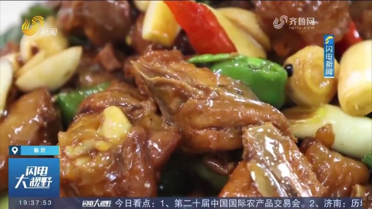 跑山鸡新鲜热炒!临沂炒鸡香飘四方,色泽鲜亮劲道醇香,太香了