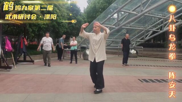 八卦乌龙拳 宁波八卦掌拳友会 陈安天演练鹤鸣九皋 武动溧阳ⷧ쬤𚌥𑊥…륍榎Œ武术文化交流会在溧阳市召开230506