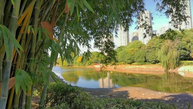 碧云天 黄叶地 秋色连波 波上寒烟翠