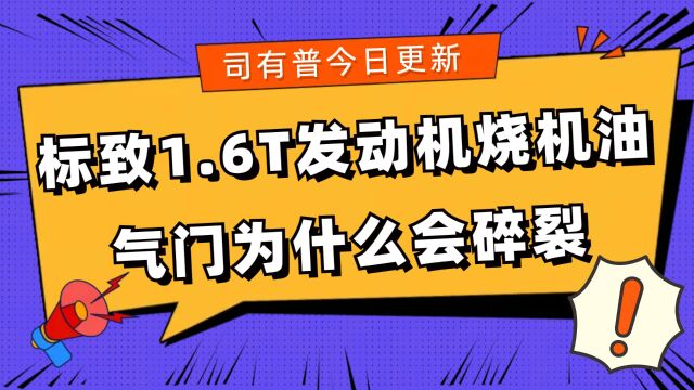 标致1.6T发动机烧机油后气门为什么会碎裂该如何预防