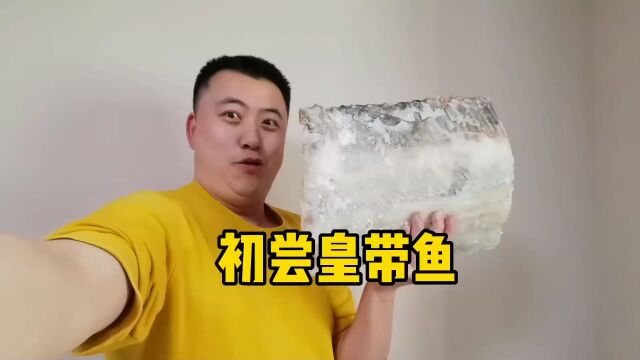 皇带鱼的味道如何?我们今天浅尝一下