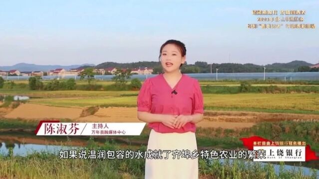 2023年“上饶银行”杯上饶“最美记者”评选表彰活动候选人视频展播(三)