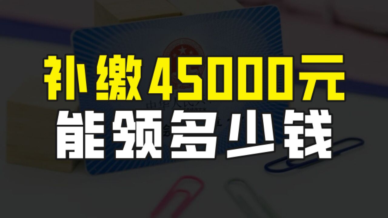 黑龙江城乡居民养老保险,一次性补缴45000元,每个月能领多少养老金