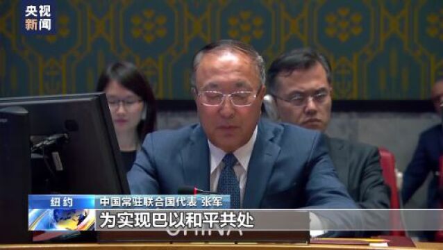 中方阐述公正解决巴勒斯坦问题三点意见