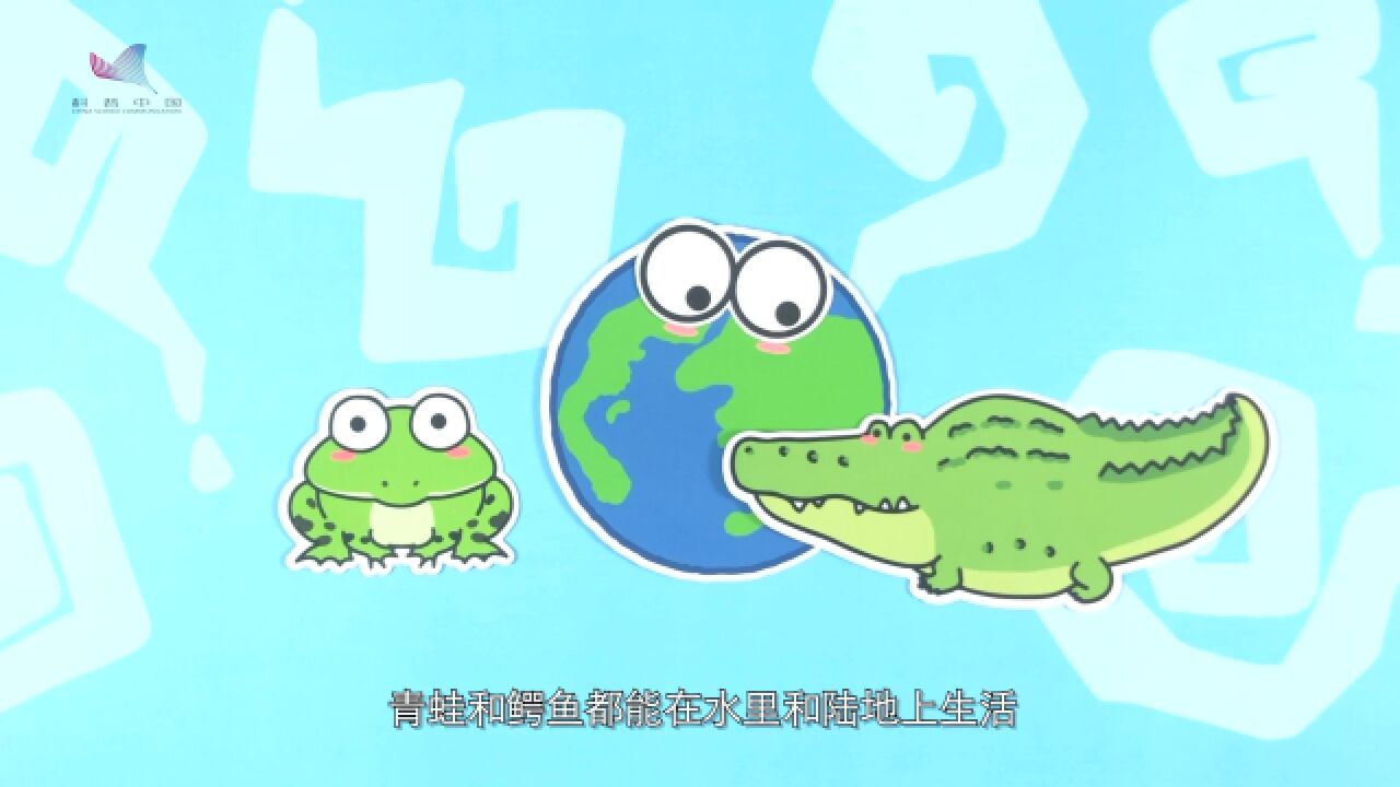 两栖类和爬行类,一般人还真区分不出来!