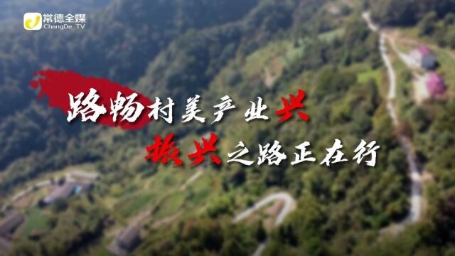 【驻村日记】石门县雁池乡李家峪村:山沟沟里的“致富路”