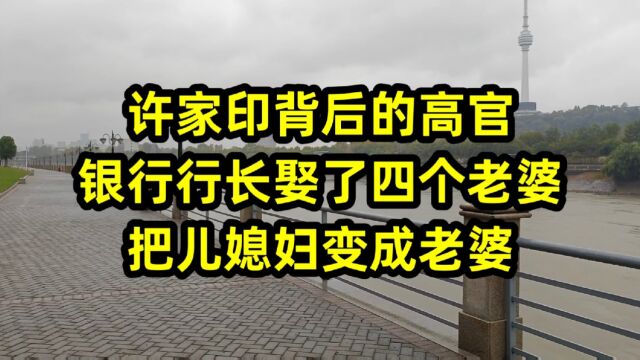 许家印背后的高官,银行行长娶了四个老婆,把儿媳妇变成老婆