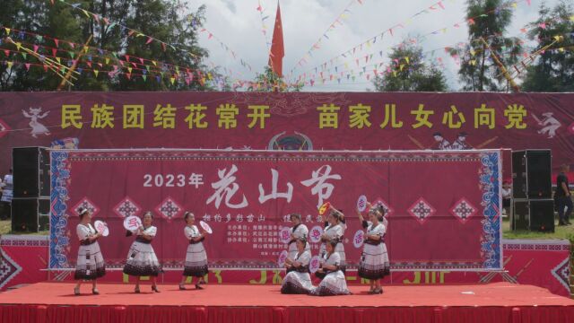 楚雄、武定“花山节”