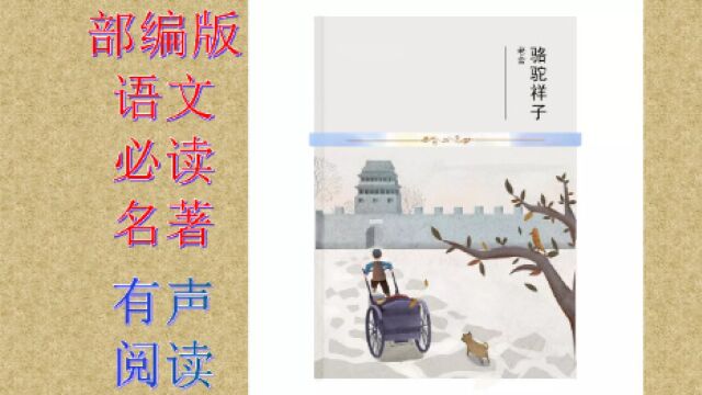 有声阅读——骆驼祥子 第15集