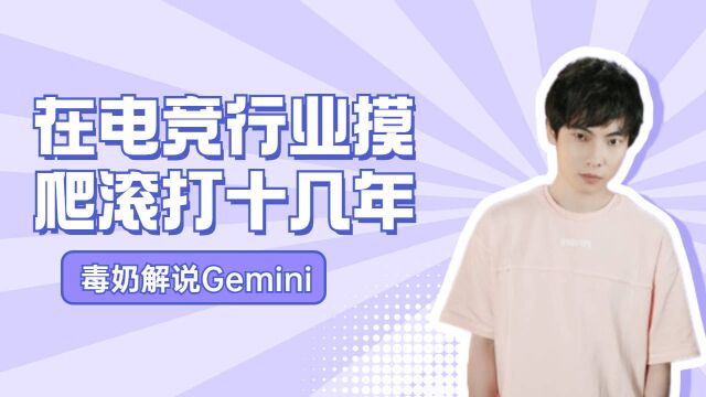 毒奶解说Gemini:在电竞行业摸爬滚打