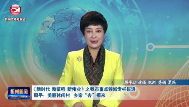 《新时代 新征程 新伟业》之我市重点领域专栏报道:原平:美丽休闲村 乡亲“杏”福来