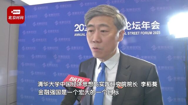 李稻葵:建设金融强国 我们和其他国家不一样