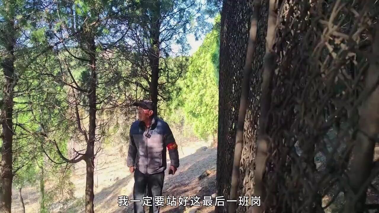 守好一片林,护好一片绿,森林防火,人人有责!