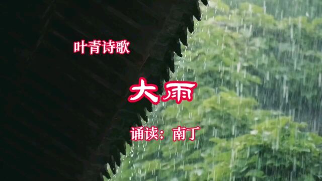 叶青诗歌《大雨》诵读:南丁