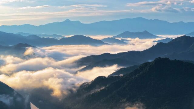 云蒸霞蔚!雨后黄山云雾升腾如蓬莱仙境