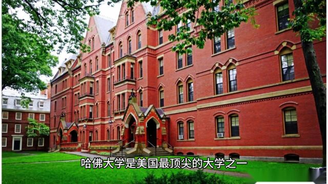 2023申请哈佛大学博士后要什么样的条件