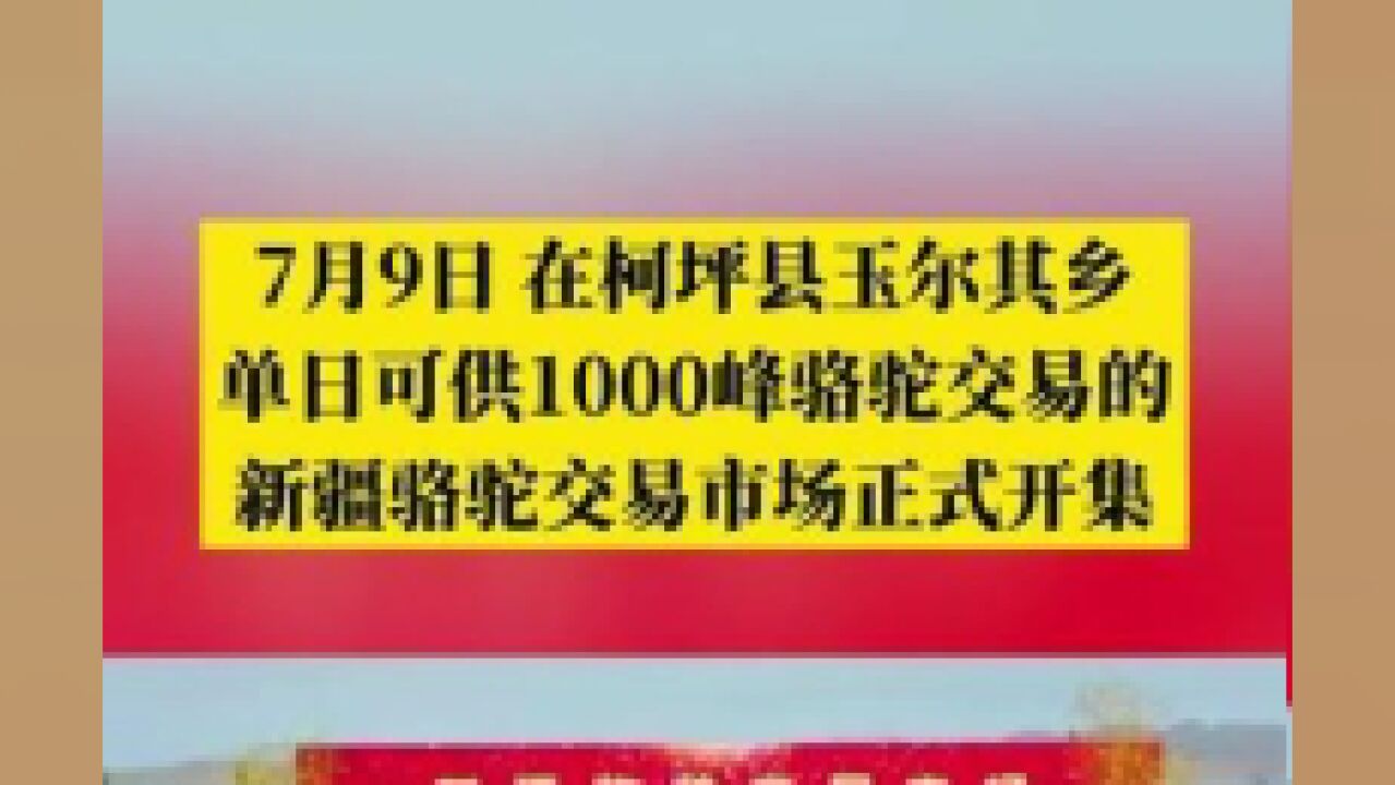 7月9日,在柯坪县玉尔其乡单日可供1000峰骆驼交易的新疆骆驼交易市场正式开集