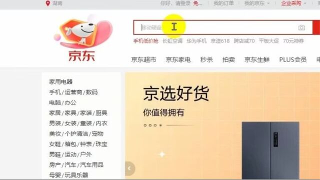 用Python编写攻略:轻松采集京东商品详情页数据,为商业分析提供独到洞察!