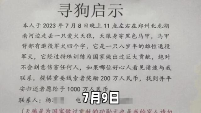 河南千万寻狗启示找到只给5000!网友:已涉嫌诈骗!