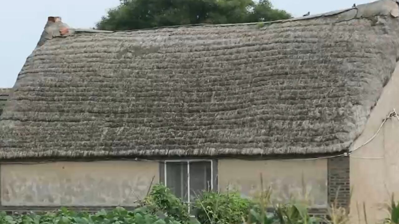 冬暖夏凉的海草房能久经风雨而防腐不倒的原因