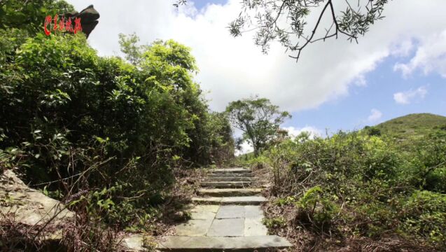 坐石为君 对景成诗!羊城晚报《大美岭南》视频一睹江门鹤山彩虹古道美景