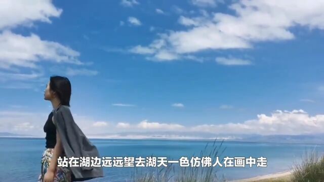 青海湖铁丝网围湖:挡住的是景寒的是游客的心还是真另有隐情?