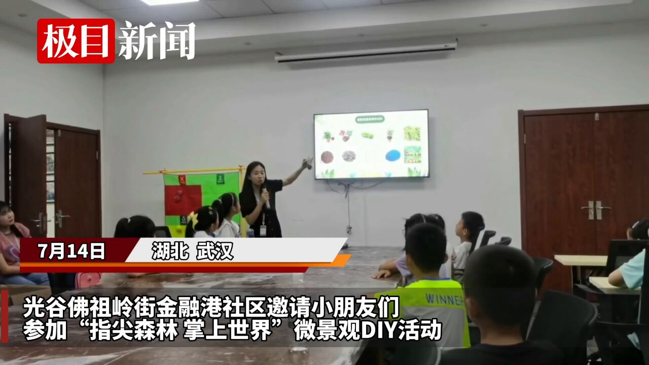 【视频】龙猫在叶子下躲雨,鸭子在蓝色河流中嬉戏……光谷这个社区的孩子们创作“掌上花园”故事