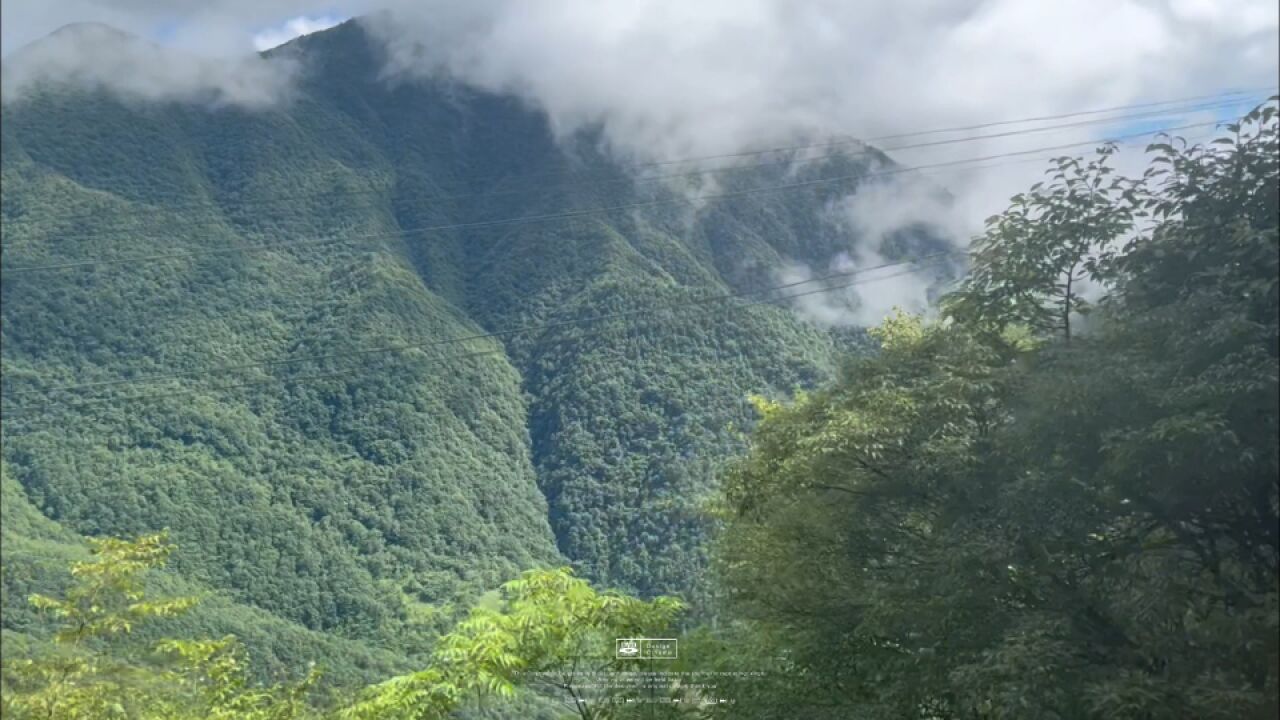 重庆小众美景:巫溪云中花海,冬季依然美丽!