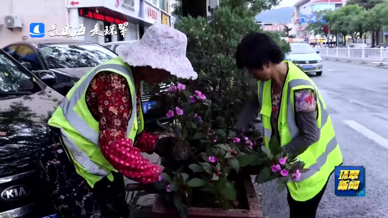 威海市环翠区:街头草花添新景 城市“颜值”大提升