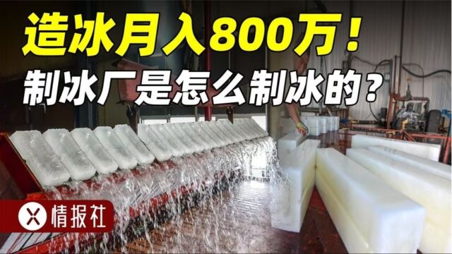 造冰日入20万!揭秘制冰厂是怎么制冰的,为什么这么赚钱