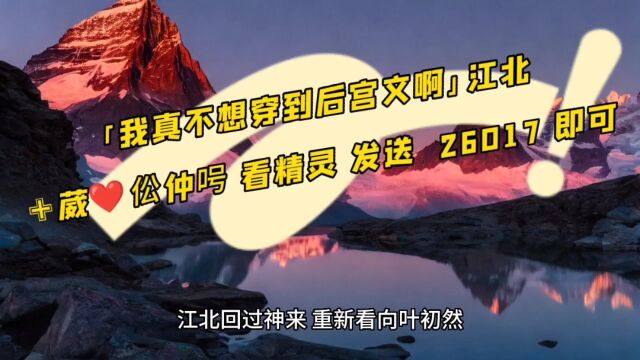 《我真不想穿到后宫文啊》江北全文免费在线阅读△(完整小说)